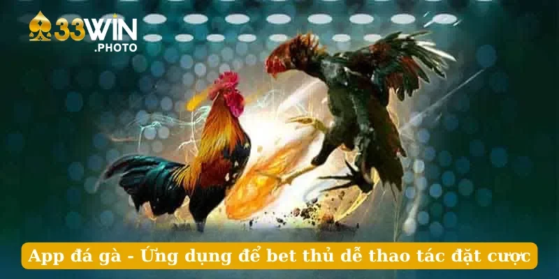 App Đá Gà - Ứng Dụng Để Bet Thủ Dễ Thao Tác Đặt Cược