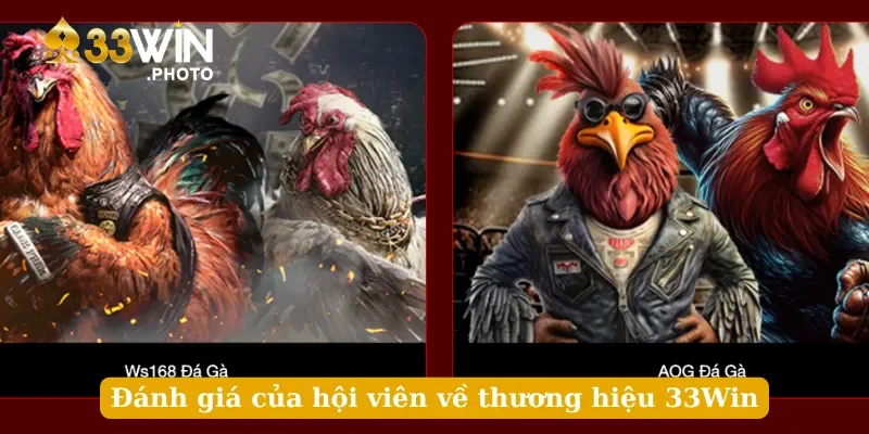 Đánh giá của hội viên về thương hiệu 33Win